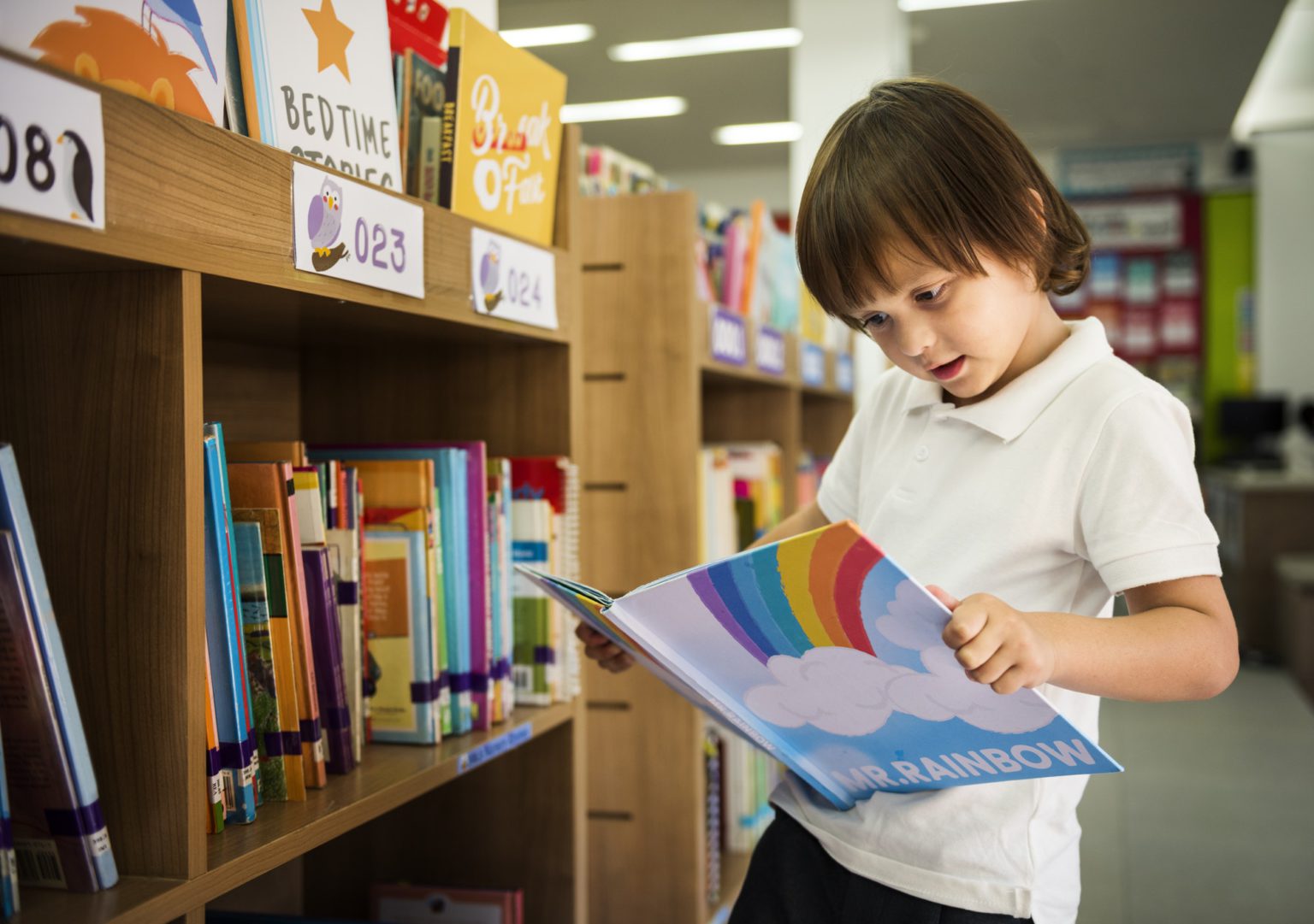 Young Boy Reading Children Story Book in Library